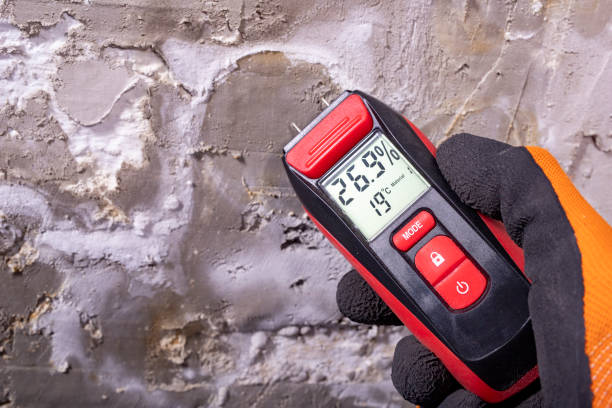 Best Fast Mold Removal  in Fairfield, TX