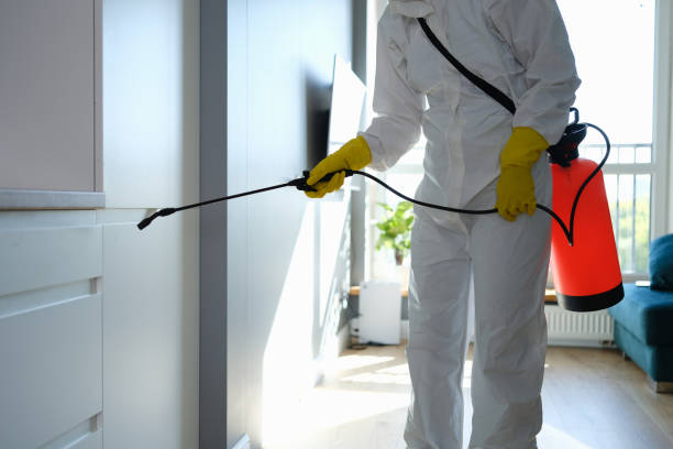Best Mold Remediation  in Fairfield, TX