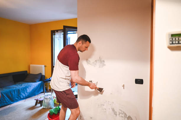Best Attic Mold Removal  in Fairfield, TX