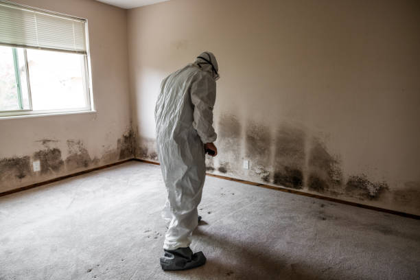 Best Mold Testing  in Fairfield, TX